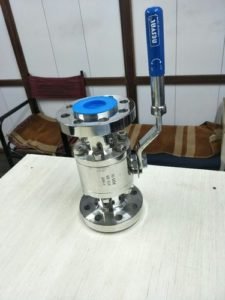 SS 600 Class Ball Valve Flanged End