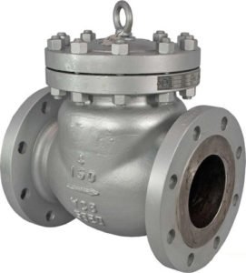 Swing Type Non Reversible Valve