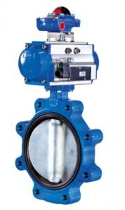 Lug type butterfly valve